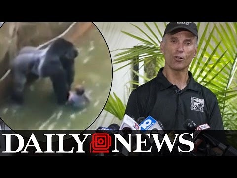 Cincinnati Zoo's director defends decision to kill Harambe the gorilla
