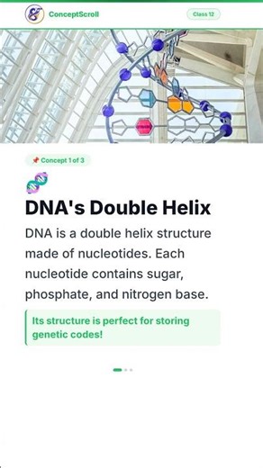 Molecular Basis of Inheritance, Class 12 Biology | Chapter 6 | Class 12 Biology | NCERT | ConceptScr