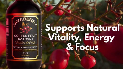 Javaberry Coffee Fruit Extract – Nootropic Brain Support for Memory, Focus, & Energy – Natural Antioxidant Supplement Supporting Healthy NAD+ Function – 60ml (Liquid Drops)