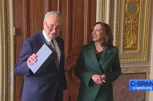 Vice President Harris Receives Golden Gavel for 32 Tie-Breaking Votes
