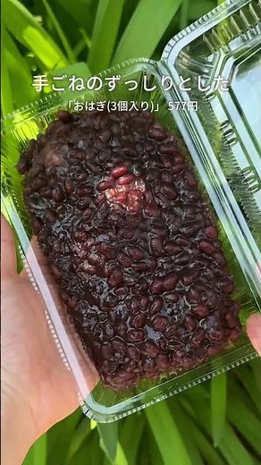 Exquisite Ohagi from a 100-Year-Old Rice Shop with Lines Out the Door