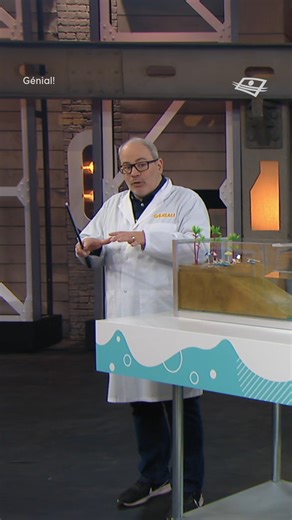 51K views · 476 reactions | Ce JEUDI, Martin nous explique comment se forment les tsunamis.  ⎯ 離 Génial! ▶️ Lundi au jeudi 19h à Télé-Québec https://www.telequebec.tv/genial | Génial! | Facebook