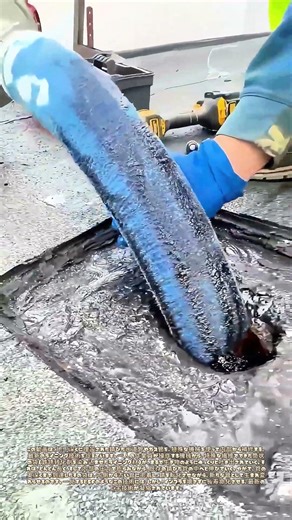 機械が吐く、長く伸びる命の管。地下の錆と対話する