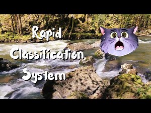 The Rapid Classification System (in our own words)