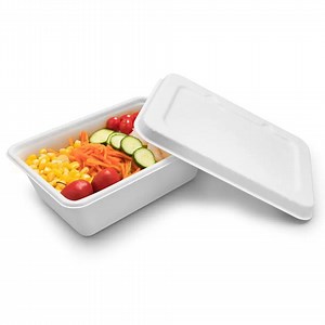 [Hot Item] Eco-Friendly Biodegradable Disposable Tableware Sugarcane 1000ml Tray