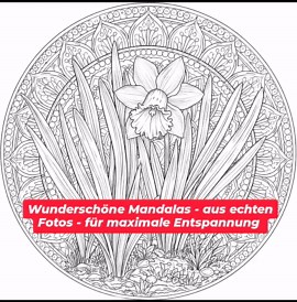 Mandala Flower Coloring Pages | 50 Coloring Pages Bundle | Printable PDF | Adult Coloring Book Download | Mother's Day | Birthday - Etsy