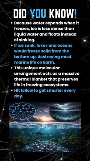 Why Ice Floats And How It Prevents a Global Ice Apocalypse #sciencefacts #physics #facts