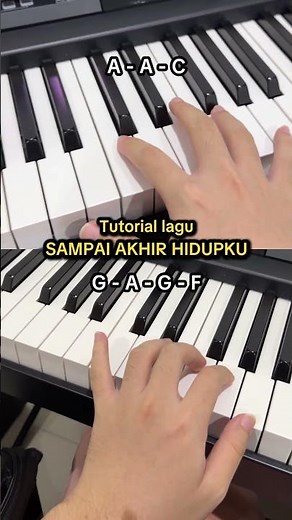 Tutorial main piano tangan kanan dan kiri di lagu Sampai Akhir Hidupku🎹#mustimusik #tipspiano