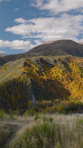 This is why people talk about Queenstown in autumn #queenstownnz #autumn #goldenhour