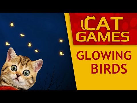 CAT GAMES - Amazing Glowing Birds (Video for Cats to watch) 1 Hour 60FPS
