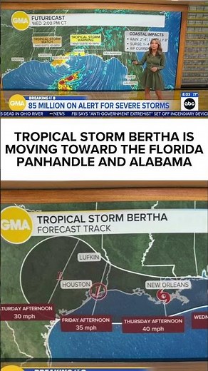 Tropical Storm Bertha in the Gulf of Mexico is moving toward the Florida Panhandle and Alabama