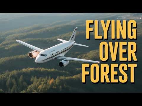 Critical Landing Challenge - MSFS 2024 - 019
