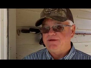 The Cow Sprayer: Safe, Effective, Hands-Free Fly Treatment For Cattle / Livestock. Hue Fussell