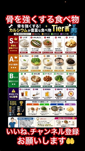 骨を強くするカルシウムが豊富な食べ物T ier表