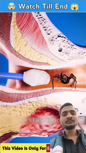 Introducing the "VitalWear SmartBand," a next-generation wearable gadget