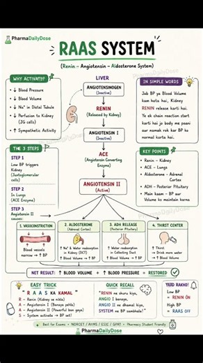 RAAS System Explained Simply 🩺 | Renin-Angiotensin-Aldosterone System | #RAAS #Pharmacology