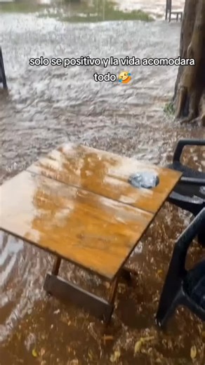 Mexico #mexicanos #mexicano #mexico #viral #viralvideo