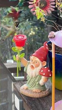 Hummingbirds Feed on Broken Gnome ❤️ DIY $1 Hummingbird Feeder Craft Recycle Garden Decor