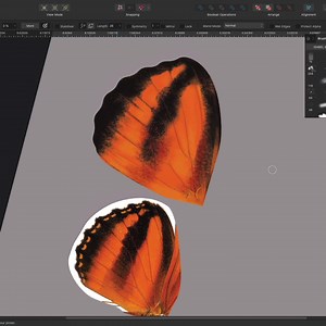 1.3K views · 38 reactions | Learn how to illustrate a lifelike butterfly in a BRAND NEW creative session 曆 Join artist Isabel Aracama Illustration this Friday (29 September) at 4pm BST as she walks you through her process using Affinity Designer: affin.co/IACS Follow along with the provided source files and chat live with Isabel during the premiere – set your YouTube reminder now! | Affinity | Facebook