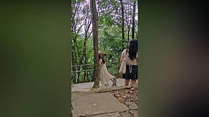 Monkeys attack woman in forest in China