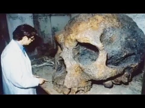 Discoveries That Made Scientists Rethink History