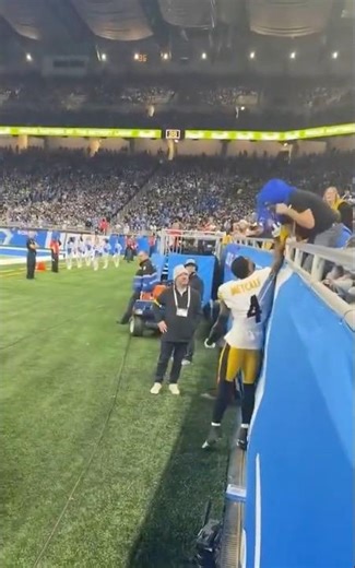 New Angle of DK metcalf GRABBING and PUNCHING Lions fan Lions vs Steelers #shorts #nfl #lions #nfc