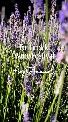 The Temecula Valley Explorer on Instagram: "🍷Mark your calendars, the First Annual Fallbrook Wine Festival is coming Saturday, October 25 to the beautiful Daily Blooms Lavender Farm. Don’t miss your chance to be part of this inaugural event! 📲 @fallbrookwinefestival Share with your wine loving buddies & follow @temeculavalleyexplorer for more local festivals Enjoy wines from local favorites like: 🍇 Monserate Winery 🍇 Myrtle Creek Vineyards 🍇 Fallbrook Winery 🍇 Adobe Hill Winery …and more! 