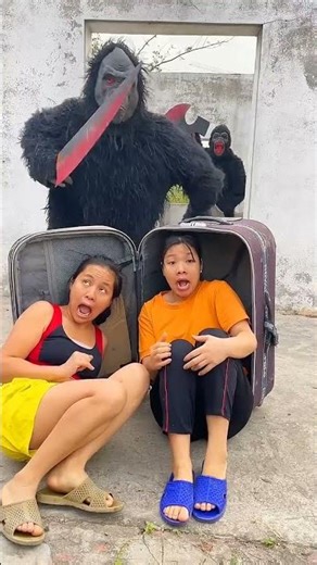 Seeking help with luggage #Gorilla #Children'sAnimation.. #funny