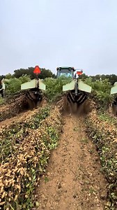 275K views · 2.7K reactions | Imagine groundnut farmers in Upper East and northern region having access to this groundnut harvesting machine— it is a game changer #reels #reels #lifestyle #CommunityEvent | Tamalekawula | Facebook