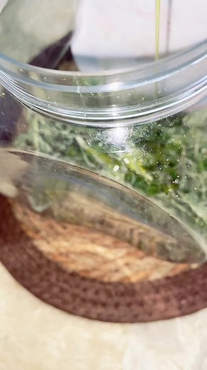 Fresh Herbs in Oil: A Flavorful Kitchen Creation