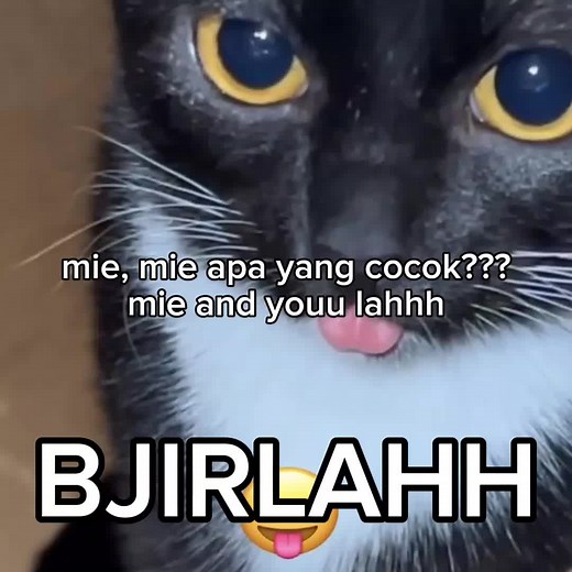 Kumpulan Gombalan Lucu untuk Menyentuh Hati Crush