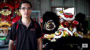 What is lion dancing? - ABC Education
