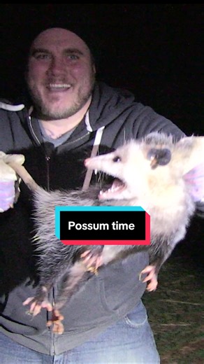 Man this was so much fun catching opossums and it’s hard to believe it’s been almost a decade since we did this. #possum #wildlife #nature