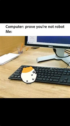 Hamiboom on Instagram: "hami uses library computer🐹💻 #hamiboom"