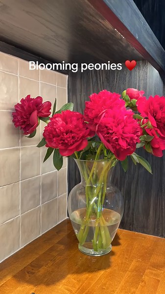 Peonies Bouquet and Blooming Flowers