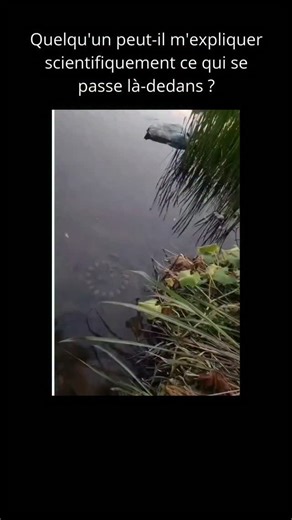 Univers De La Nature | Ce court extrait vidéo, qui semble être une démonstration humoristique ou de bricolage, montre une personne remplaçant un pommeau de douche... | Instagram