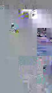 123K views · 3K reactions | What’s in our paludarium?  We can't help but be filled with a sense of wonder and appreciation whenever we see our UNS 75S. The vibrant pops of color from the fish and the terrarium plants along with the rough texture of the lava rock all come together to create a truly beautiful ecosystem. What do you appreciate most about your tank? #paludarium #plantedtank #terrarium #aquaticplants #freshwaterplant #aquariumplants | Buce Plant | Facebook