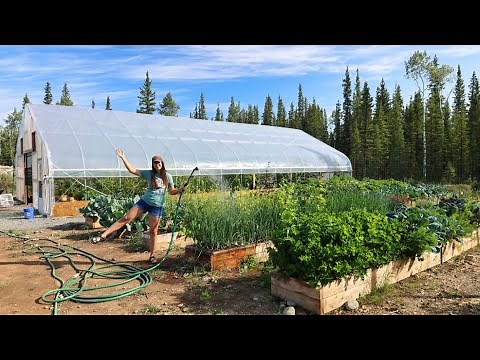 FULL Garden & Greenhouse Tour – Growing Food in Alaska Zone 1