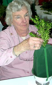 Boxwood Tree Centerpieces Provide a Lovely Holiday Touch