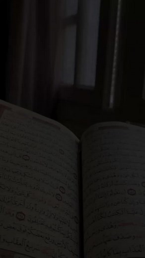 Surah Falak. #quran #dailyquran #quranrecitation #quran_alkarim #france