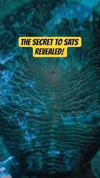 Manifest While You Sleep: SATS Secret #manifestation #shorts