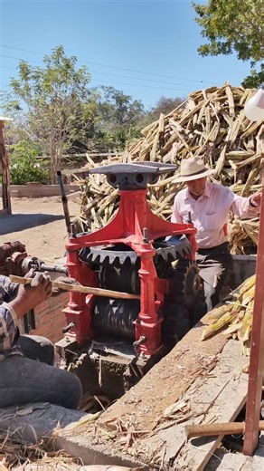 48K views · 828 reactions | Hacer piloncillo, un oficio de antaño....