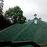 Roofing Shingles