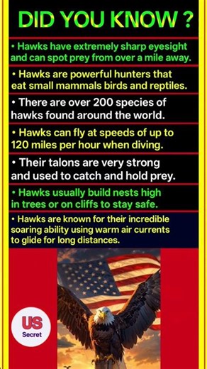 Incredible Hawk Facts That Will Blow Your Mind