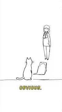 Indoor Cats and Fecal Testing: What Most Owners Do Not Know
