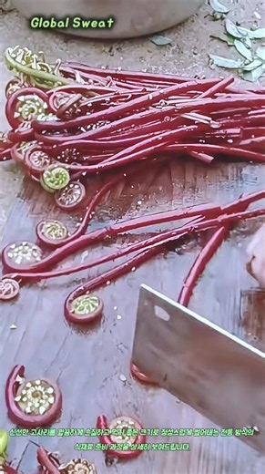 신선한 고사리 써는 법과 기초 손질 #worker #process #vegetable #c