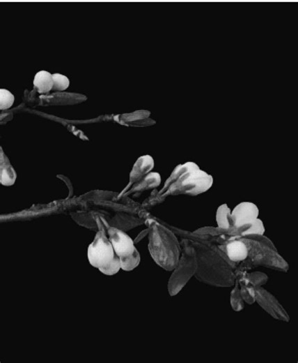 Understanding Different Types of Intimacy in Relationships