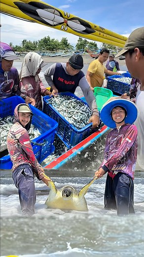476K views · 9.4K reactions | Tangkapan ikan sarden calon kapten baru bagian 2 #edikhannn #nelayanbali #nelayanindonesia | Edi Purnomo | Facebook