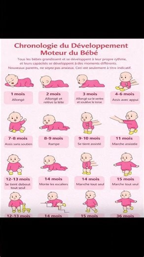 Chronologie du développement de Bébé