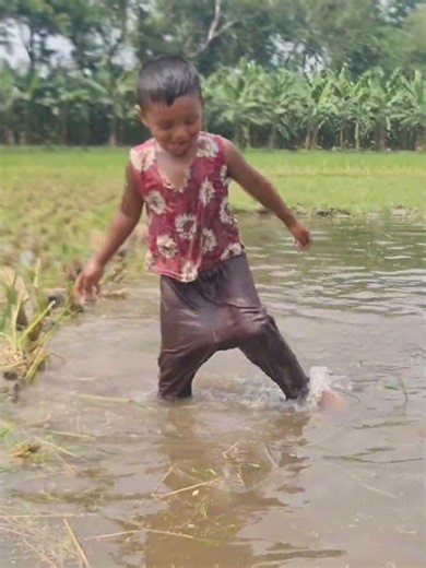 Amazing Boy Catching Fish By Hand